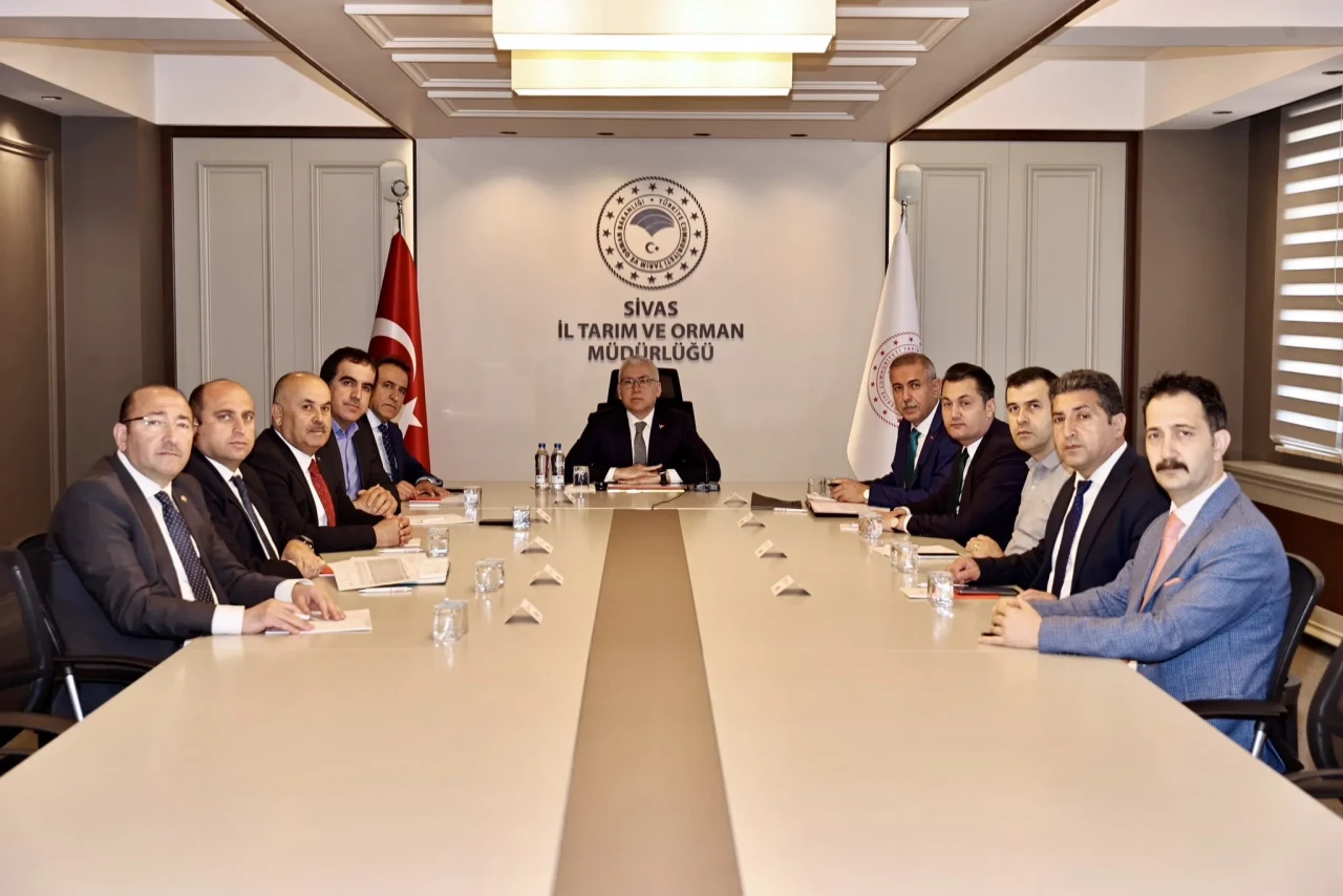 Sivas’ta Sokak Hayvanlarının Geleceği Masaya Yatırıldı