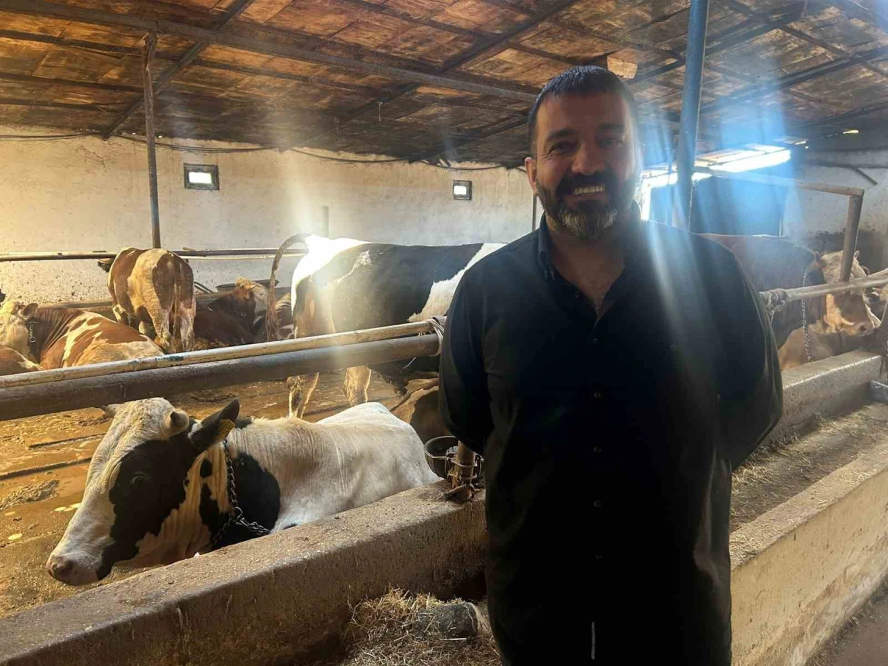 Bayrama Doğru Kurbanlık Sınırlı Kaldı