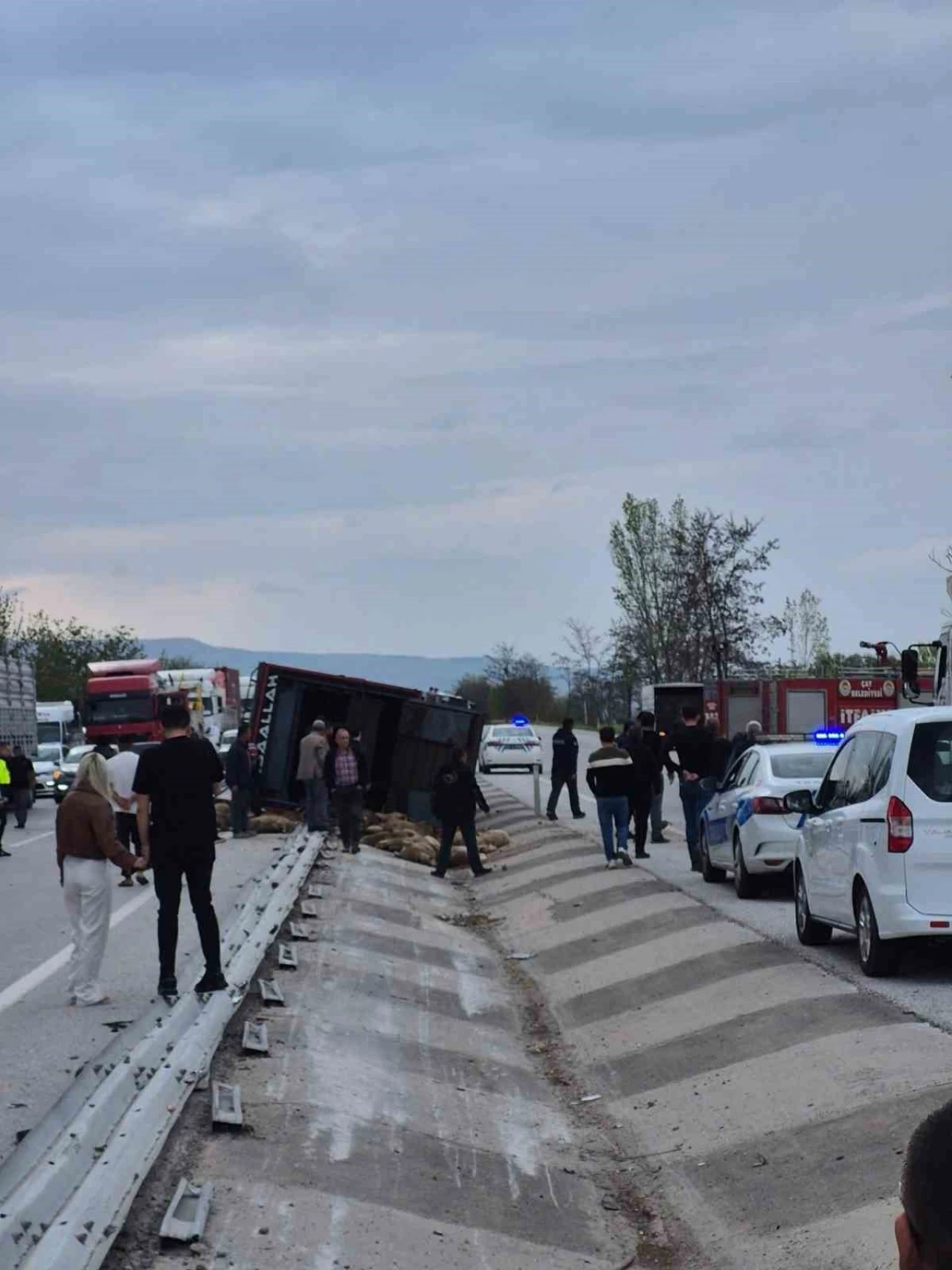 Kamyon Kazasında 53 Koyun Hayvan Telef Oldu