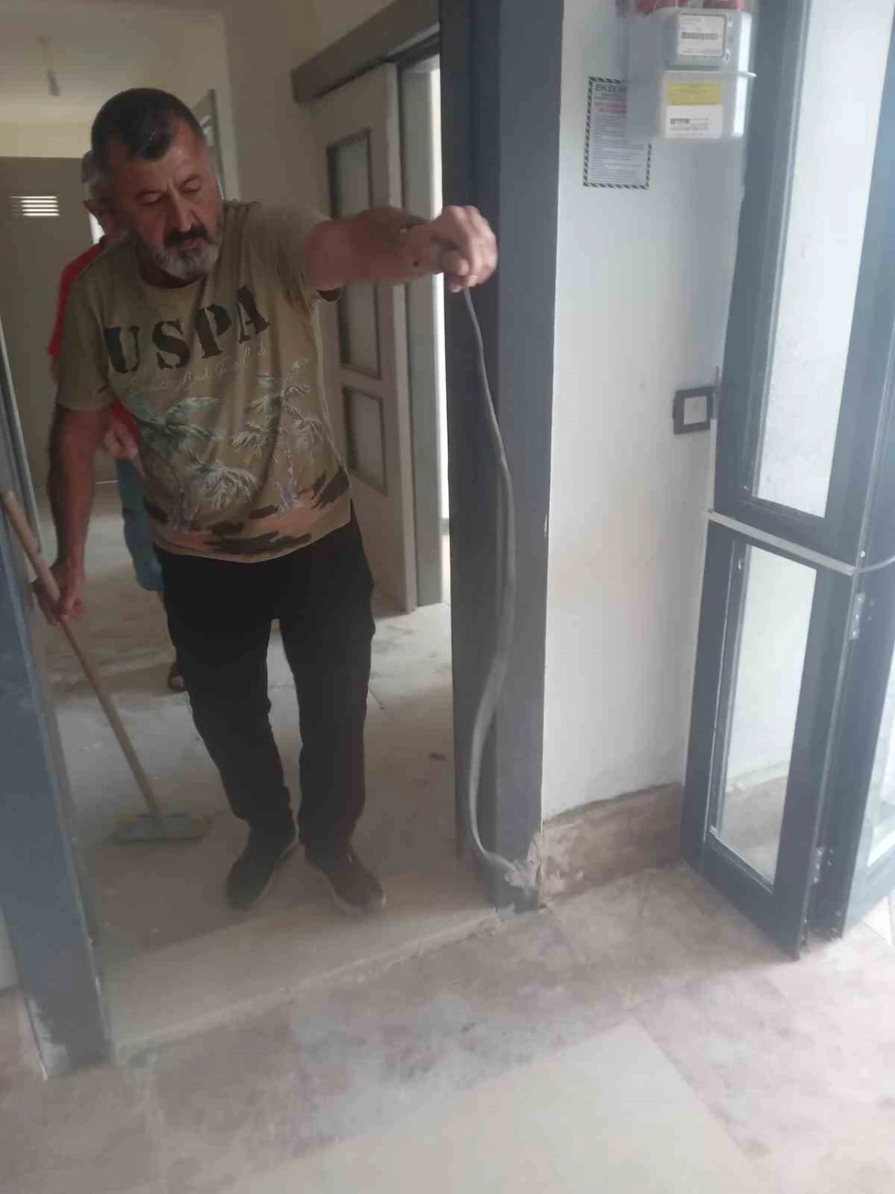 Eve Giren Yılan Doğaya Salındı