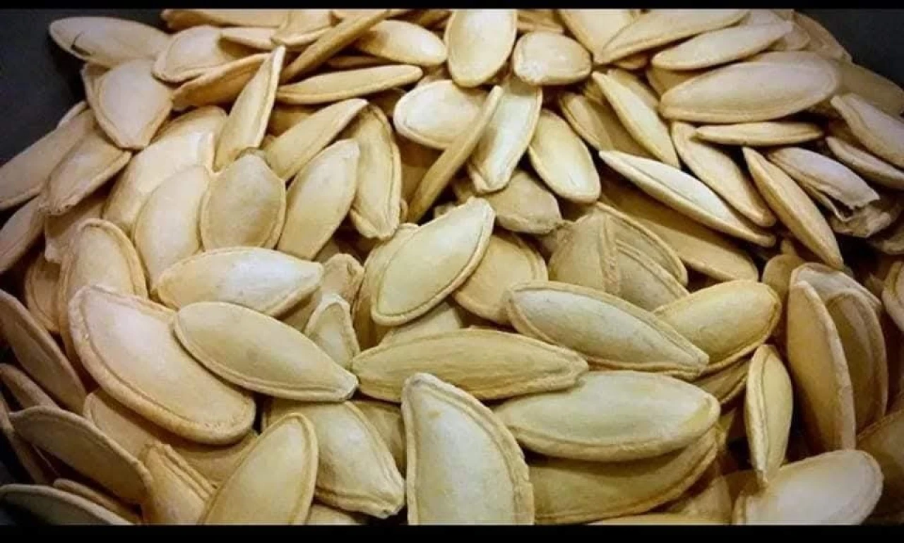 Kabak Çekirdeğinde Yeni Sezon