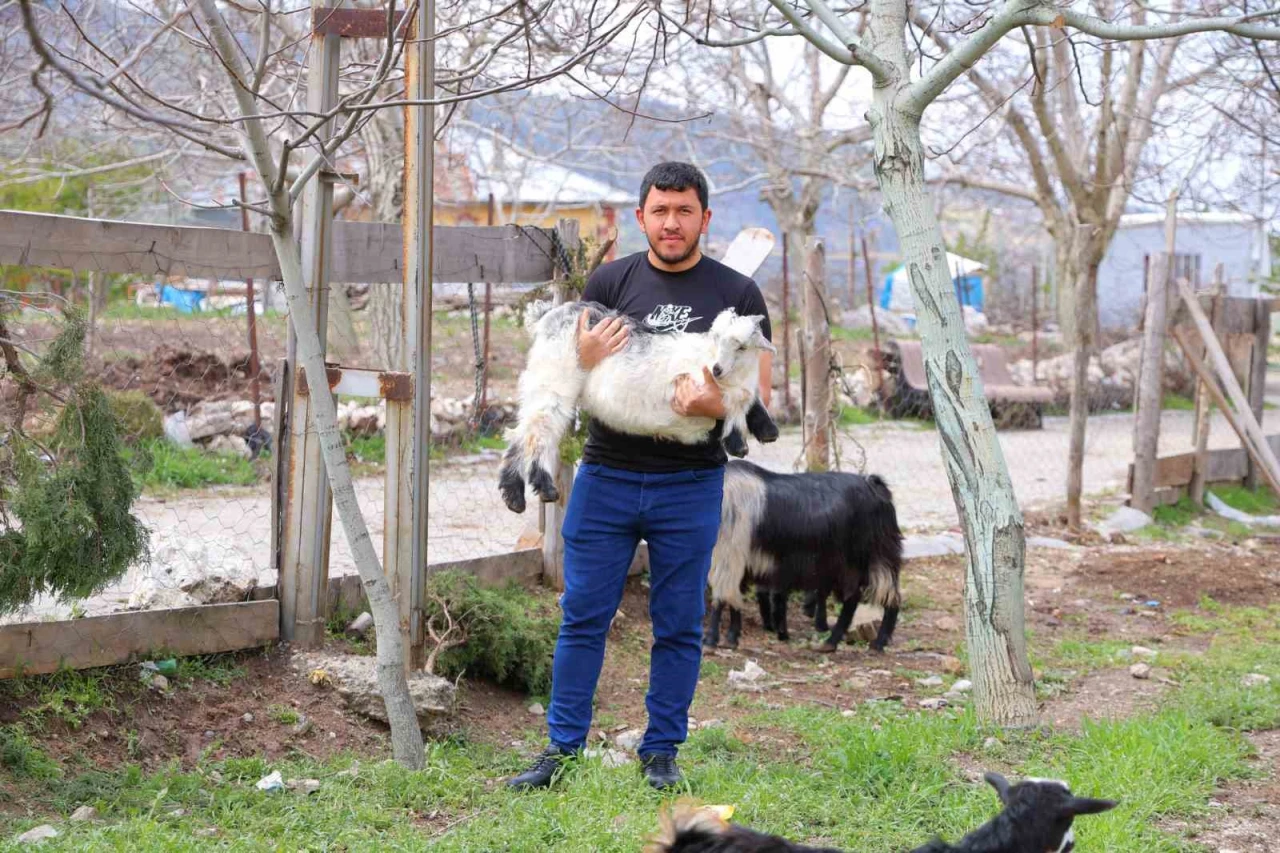 Don Felaketi Ceviz Üreticilerini Yeni İşlere Yönlendirdi