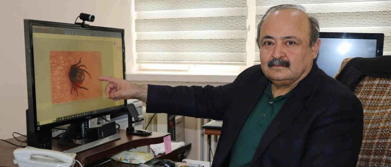 Kene Isırığına Karşı Doğru Müdahale Hayat Kurtarır