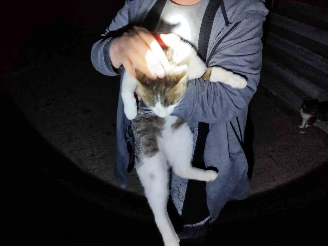 İtfaiyeden Kedi Mesaisi