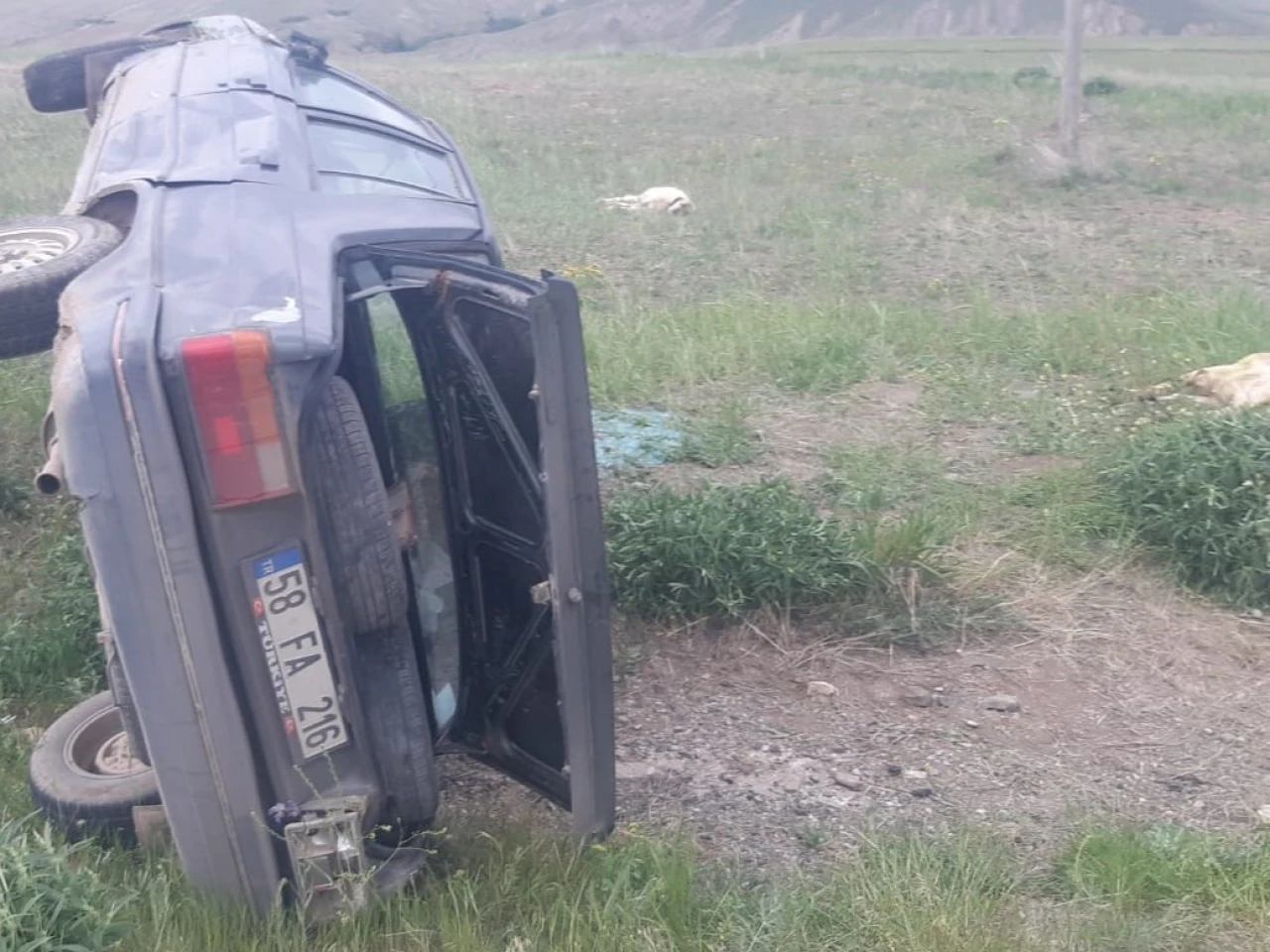 Sivas’ta Devrilen Araçta 2 Kişi Yaralandı, 3 Koyun Telef Oldu
