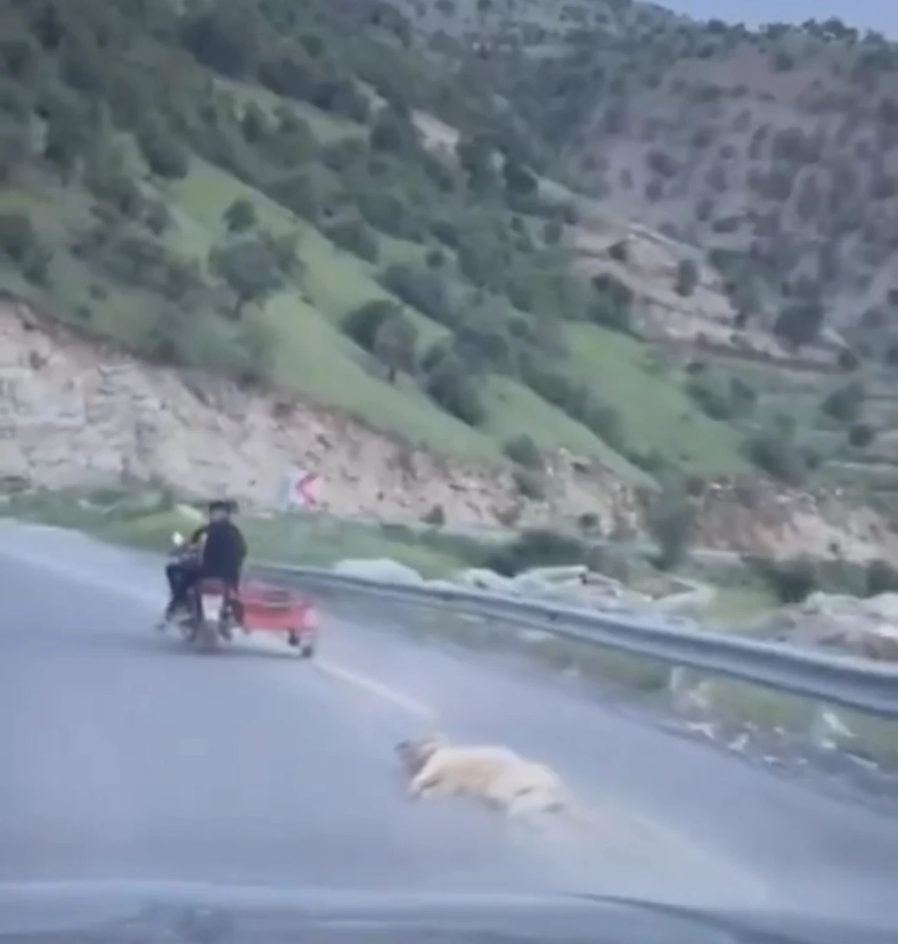 Telef Köpek Motosikletle Sürüklendi