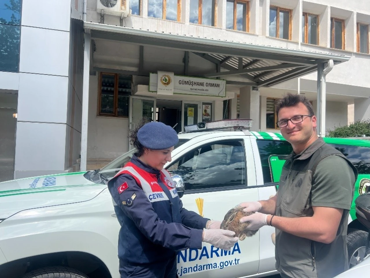 Jandarmadan Yaralı Tavşan Kurtarma Operasyonu