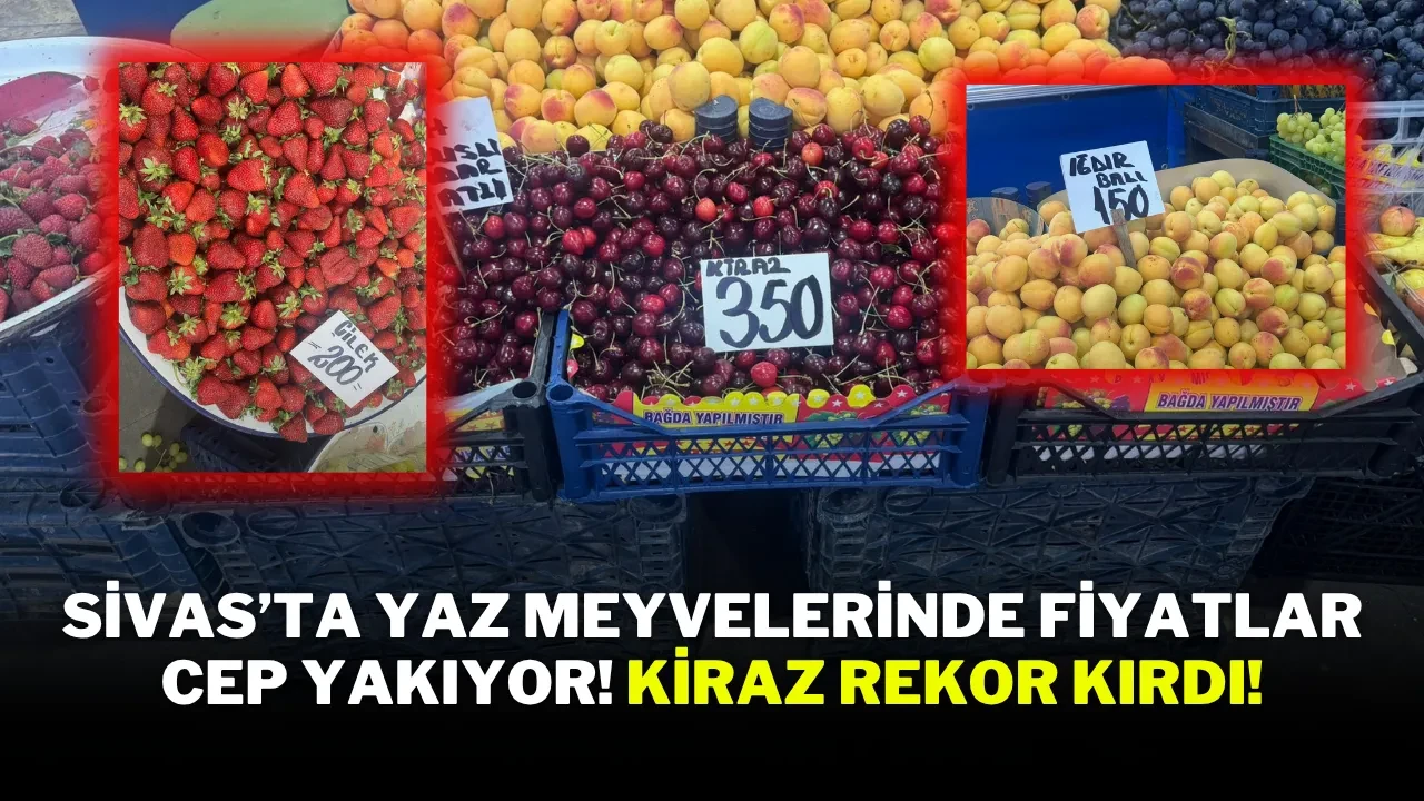 Sivas’ta Yaz Meyvelerinde Fiyatlar Cep Yakıyor! Kiraz Rekor Kırdı!