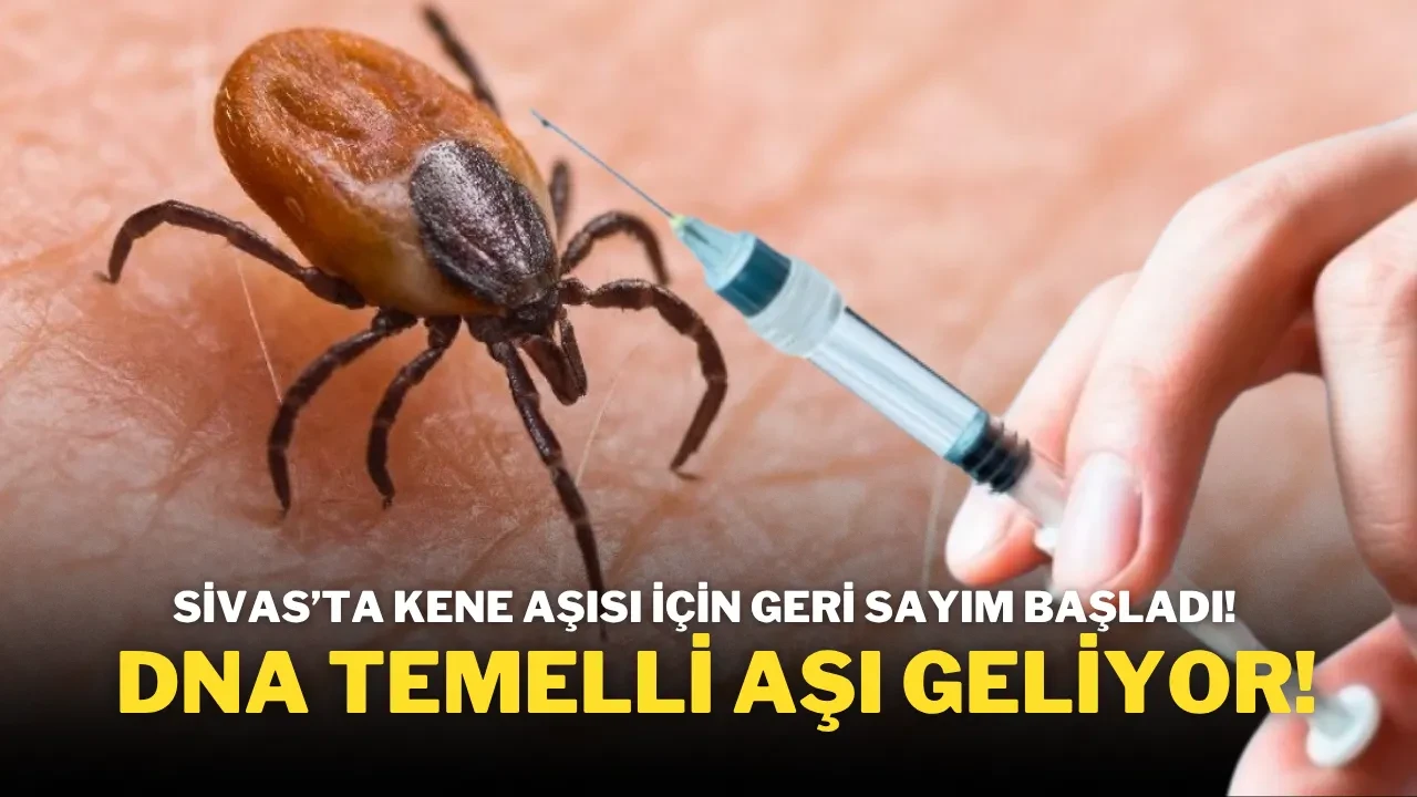 Sivas’ta Kene Aşısı İçin Geri Sayım Başladı! DNA Temelli Aşı Geliyor!