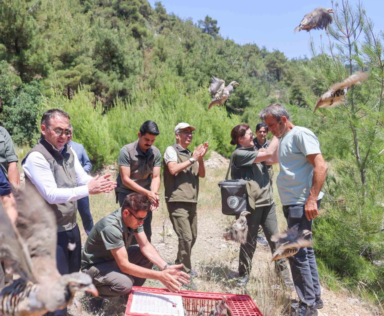 300 Keklik Doğayla Buluştu