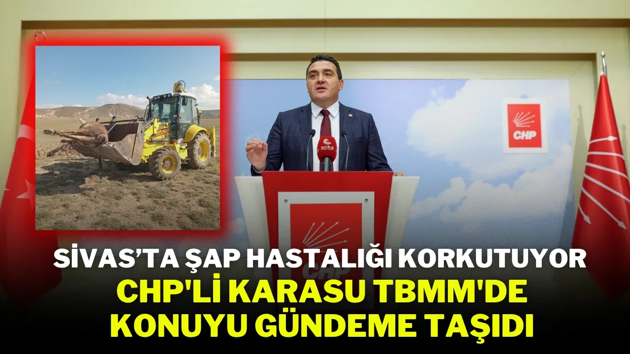 Sivas’ta Şap Hastalığı Korkutuyor: CHP'li Karasu TBMM'de Konuyu Gündeme Taşıdı