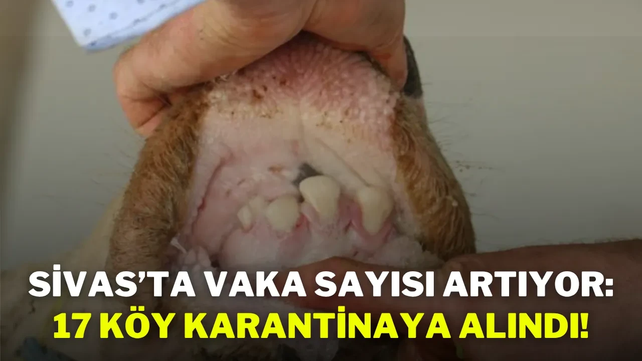 Sivas’ta Vaka Sayısı Artıyor: 17 Köy Karantinaya Alındı!