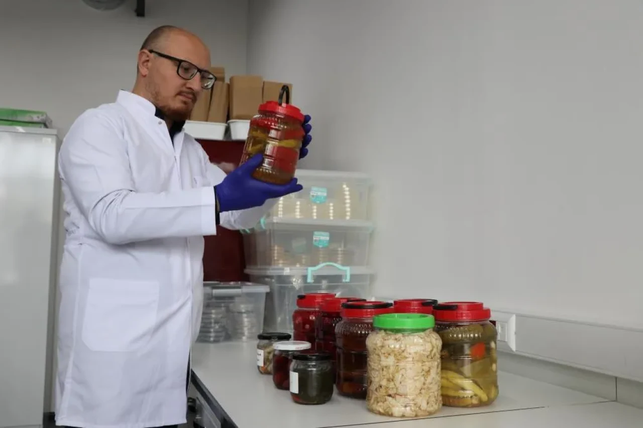 Sivas'ta Turşudan Yararlı Bakteri Üretildi!