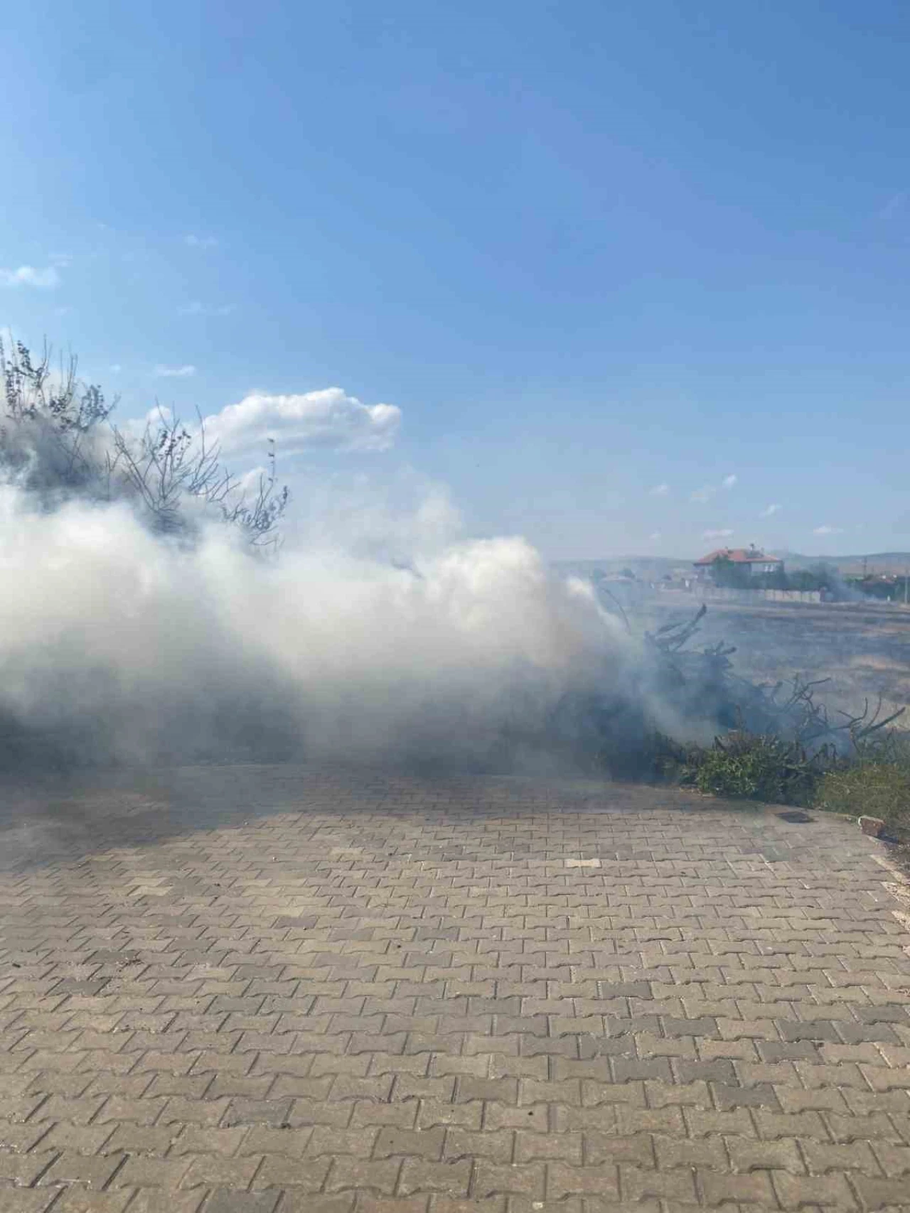 Boş Arsada Çıkan Yangın 5 Ton Odunu Kül Etti