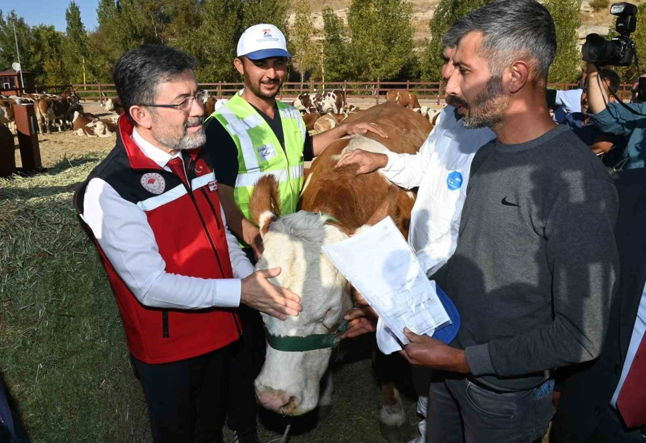 Bakan Yumaklı Kurban Bayramı’nda 3,3 Milyon Hayvan Kesildi