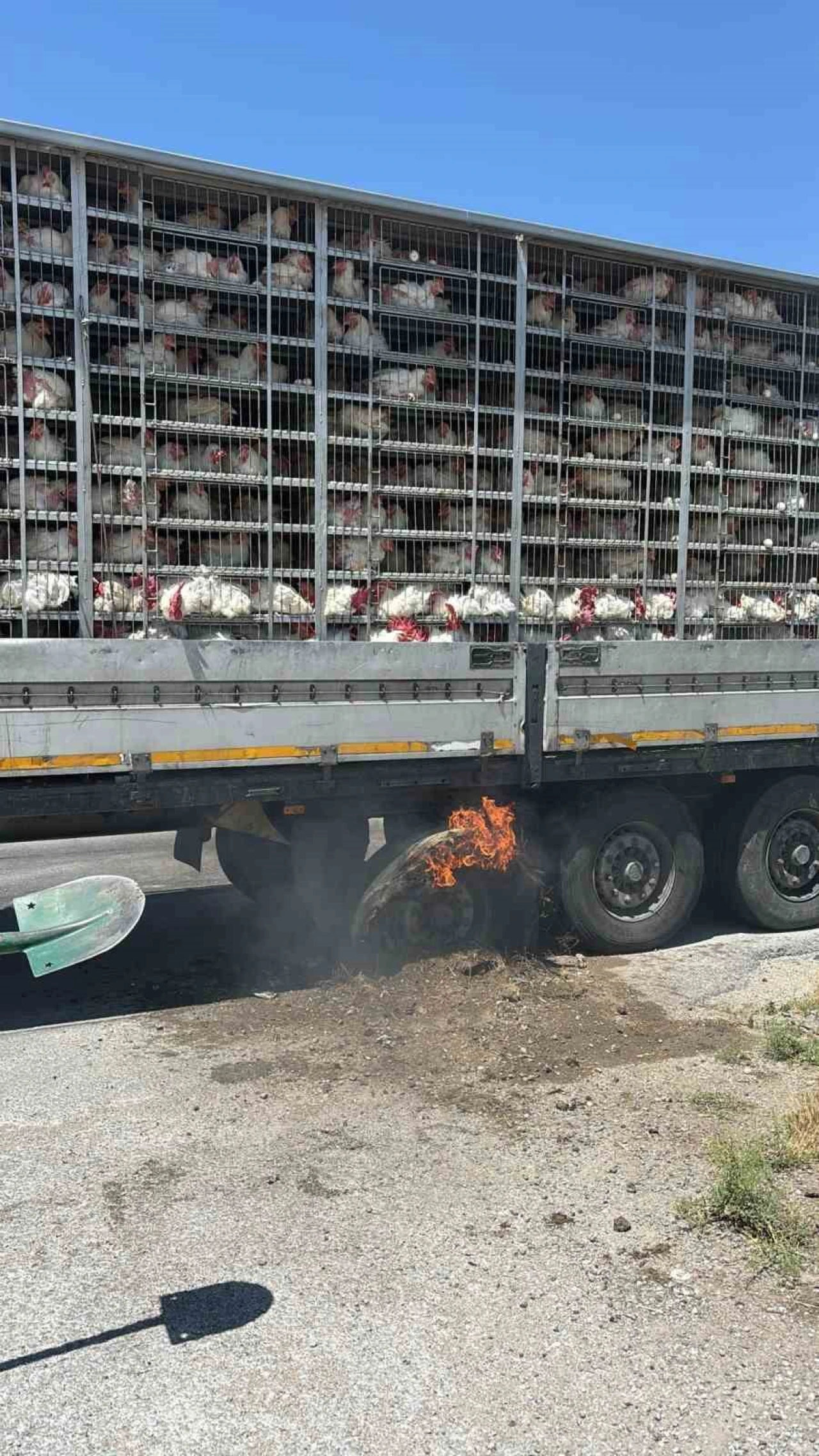 Tavukları Taşıyan Tırda Yangın Çıktı