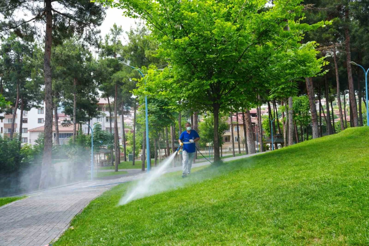 Yaz Aylarında Haşere Ve Kene Seferberliği
