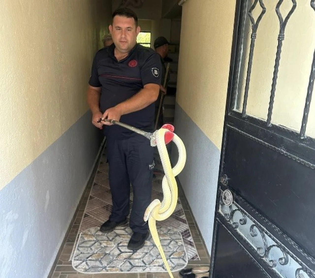 Yılanla Karşılaşan Aile Panik Yaşadı