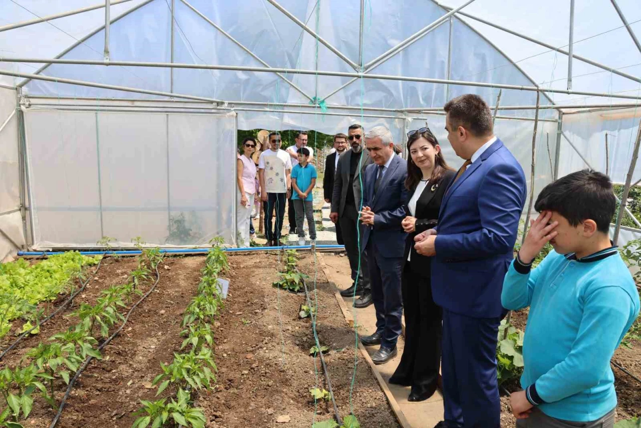 Mevsimlik Sebzelerle Doğa Bilinci Okulda Gelişiyor