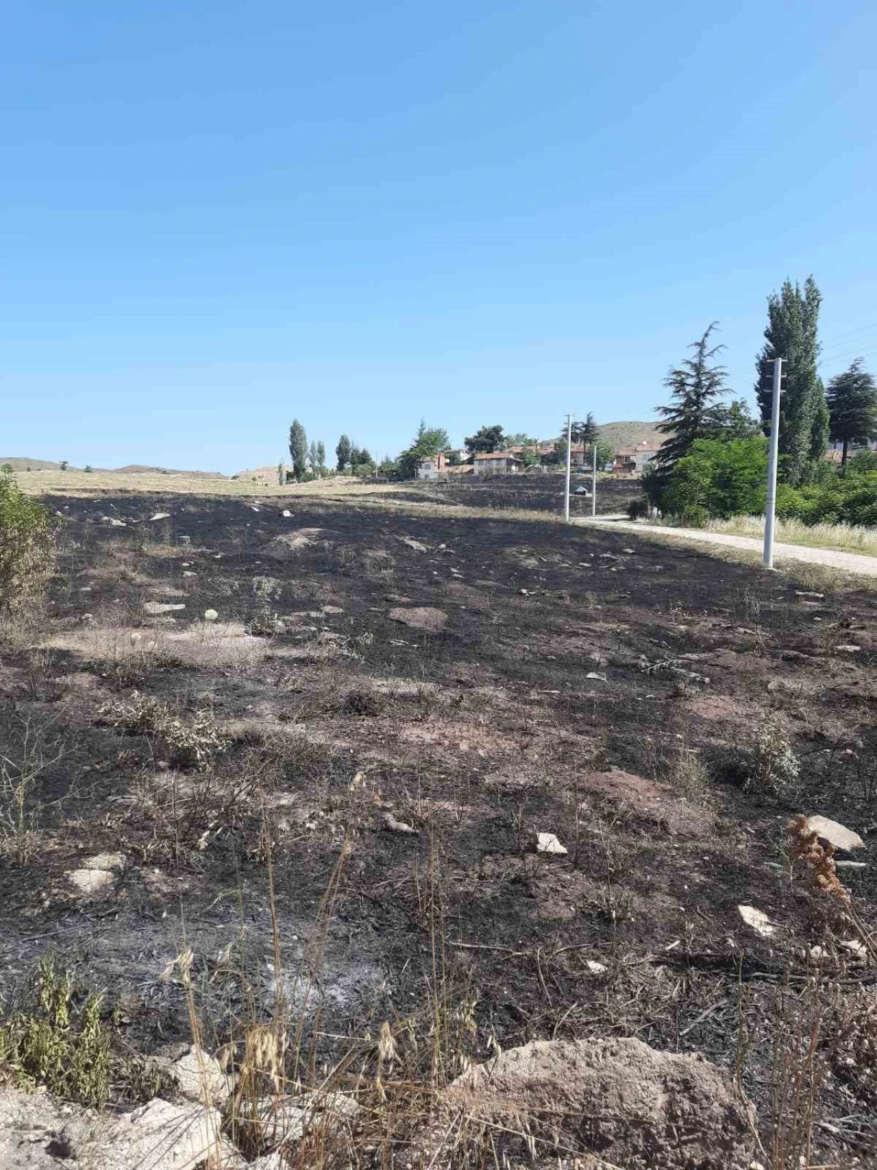 Torpil 15 Dönümü Kül Etti