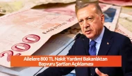 Ailelere 800 TL Nakit Yardım! Bakanlıktan Başvuru Şartları Açıklaması