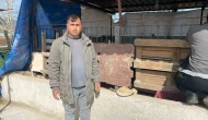 Koyunları Telef Eden Köpekler Ahırda Uyudu