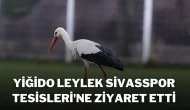 Yiğido Leylek, Sivasspor Tesisleri'ne Ziyaret Etti