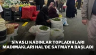 Sivaslı Kadınlar, Topladıkları Madımakları Hal'de Satmaya Başladı