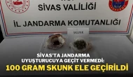 Sivas’ta Jandarma Uyuşturucuya Geçit Vermedi: 100 Gram Skunk Ele Geçirildi