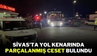 Sivas’ta Yol Kenarında Parçalanmış Ceset Bulundu