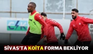 Sivas’ta Koita Forma Bekliyor