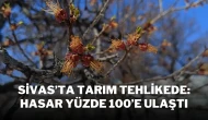 Sivas’ta Tarım Tehlikede: Hasar Yüzde 100’e Ulaştı