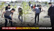 Sivas OSB’de Ağaç Dikimi Etkinliği Düzenlendi