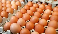 Yumurtalar Raftan Kalkıyor! Sodyum Hipoklorit Tehlikesi! İşte Detaylar