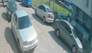 Sınav Yolunda Köpek Dehşeti