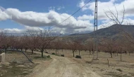 Sivas’ta Kayısı Üreticileri, Zirai Don Riski Nedeniyle Nöbet Tutuyor