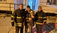 Balkona Tırmanan Kediye İtfaiye Kurtarmaya Geldi