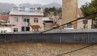Dağ Keçileri Çatılarda Geziyor