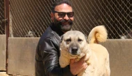 Mevsim Dengesizliği Kangal Köpeklerini Tehdit Ediyor