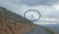 Kartalın Süzülen Zaferi