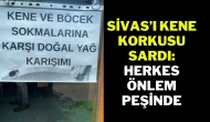 Sivas'ı Kene Korkusu Sardı! Herkes Önlem Peşinde