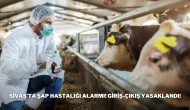 Sivas’ta Şap Hastalığı Alarmı! Giriş-Çıkış Yasaklandı!