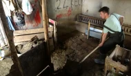 Sivas’ta Köylerde Tezek Mesaisi Sürüyor