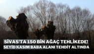 Sivas'ta 150 Bin Ağaç Tehlikede!  Seyid Kasım Baba Alanı Tehdit Altında