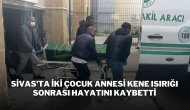 Sivas'ta İki Çocuk Annesi Kene Isırığı Sonrası Hayatını Kaybetti