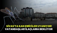 Sivas'ta Kan Emiciler Uyanıyor! Vatandaşlar İlaçlama Bekliyor