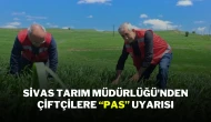 Sivas Tarım Müdürlüğü'nden Çiftçilere “Pas” Uyarısı