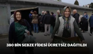 380 Bin Sebze Fidesi Ücretsiz Dağıtıldı