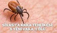 Sivas’ta KKKA Tehlikesi: 8 Yeni Vaka, 1 Ölü