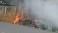 Kuru otlar yangına neden oldu